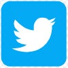 Twitter bird logo