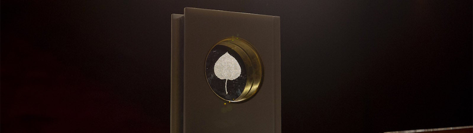 AWLP trophy