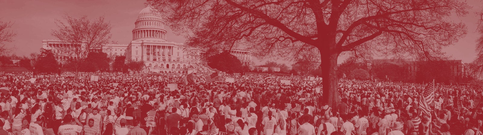 Photo of protesters gathering in front of the US Capitol