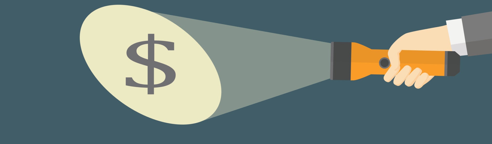 Flashlight shining on dollar sign
