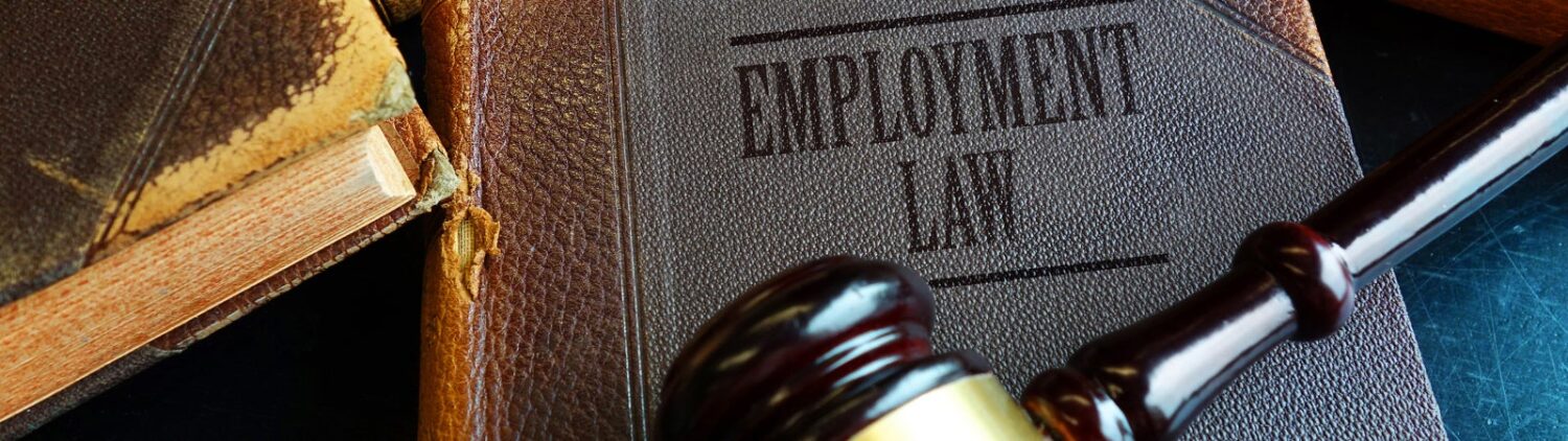 Employment Law book with legal gavel