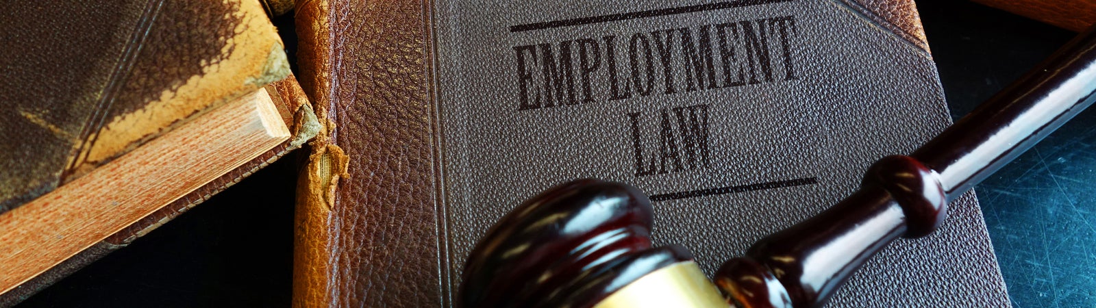 Employment Law book with legal gavel
