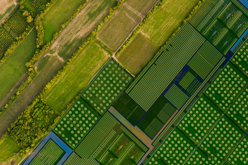 A digital collage of a circuit board and an aerial photo of farmland. It represents the future of AI in food security.
